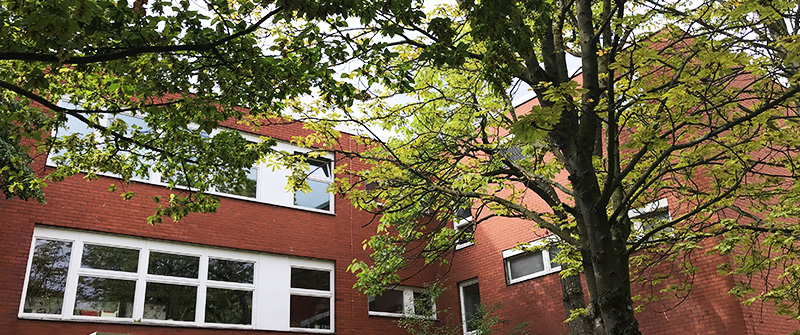 Schule am Zwickauer Damm, Grundschule und Sekundarstufe I mit dem Förderschwerpunkt „Lernen“, Berlin Neukölln (Kopie) (Kopie) Schule am Zwickauer Damm, Grundschule und Sekundarstufe I mit dem Förderschwerpunkt „Lernen“, Berlin Neukölln